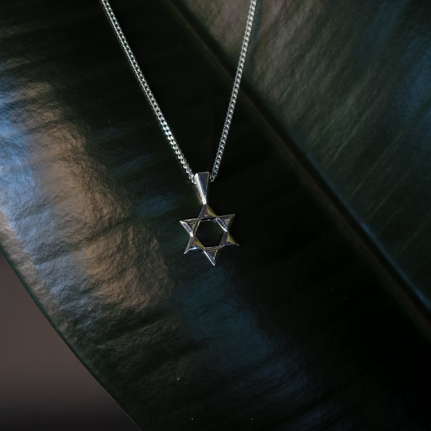 Star of David necklace